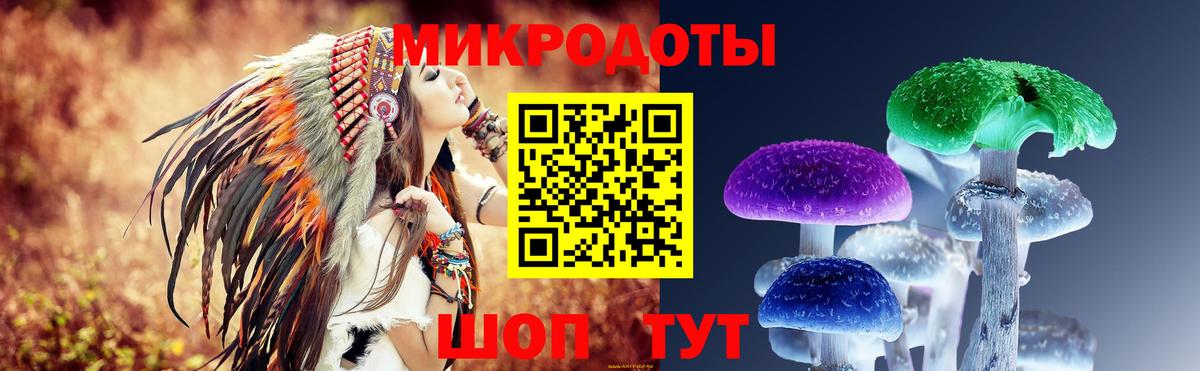 Галлюциногенные грибы GOLDEN TEACHER Армавир